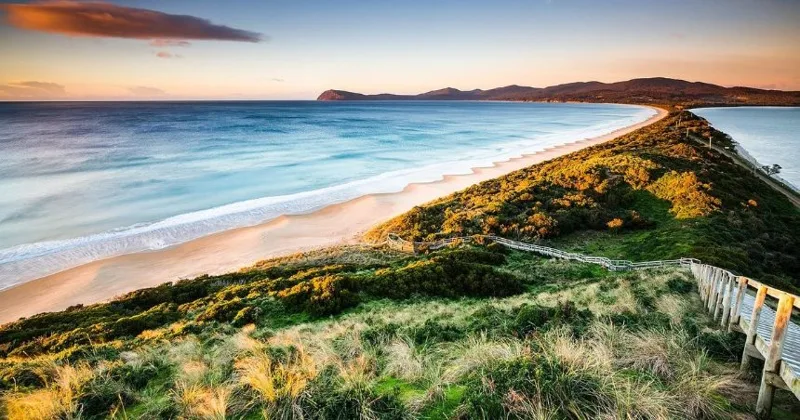 Full-Day Bruny Island Tour from Hobart