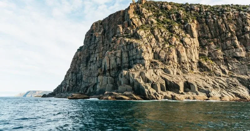 Tasman Island Wilderness Cruise