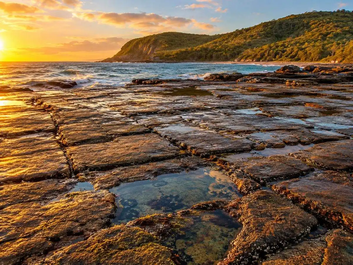 The Tessellated Pavement at Eaglehawk Neck, a flat rock shelf cracked into neat tiles at low tide